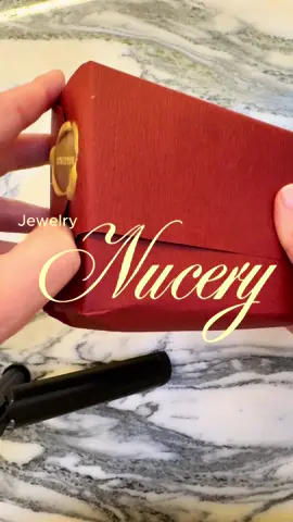 Brillar nunca había sido tan fácil ✨ Usa mi código EstiloAPB y disfruta de un 60% de descuento en joyitas únicas 💎 Envíos a casi todo el mundo  — porque el estilo no tiene fronteras. Descubre, combina y luce ese toque chic que eleva cualquier outfit 🤍 📲 @ncyofficial  🌐 www.nucery.com #EstiloAPB #NuceryAmbassador #ChicDetails #ModernElegance #timelessstyle 