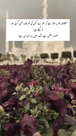 agree???? #aina_e_miraal #deeplines #creatorsearchinsights #unfreezemyacount #growmyaccount 