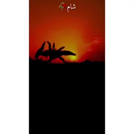 Qasam khuda di chana 🥰#fypシ゚ #viralvideo#🌿سوناپنجاب🌿 