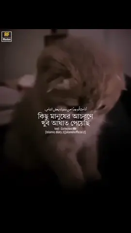 #duet with @𝐈𝐬𝐥𝐚𝐦𝐢𝐜 𝐃𝐢𝐚𝐫𝐲📖😔 হে আল্লাহ্ আমাকে সঠিক পথ দেখিয়ে দিন 🤲🤲😟@rjrobin195 @AM.Abir{মায়াজাল} 