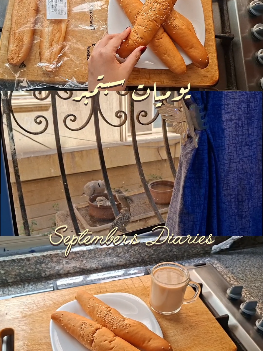 September's Diaries 🌻✨️☀️ و اخيرا نزلت فلوج 😭 Laptop stickers from @Lamsa 🎀❤️ #Vlog #productive #explore #productivity #فلوجة 
