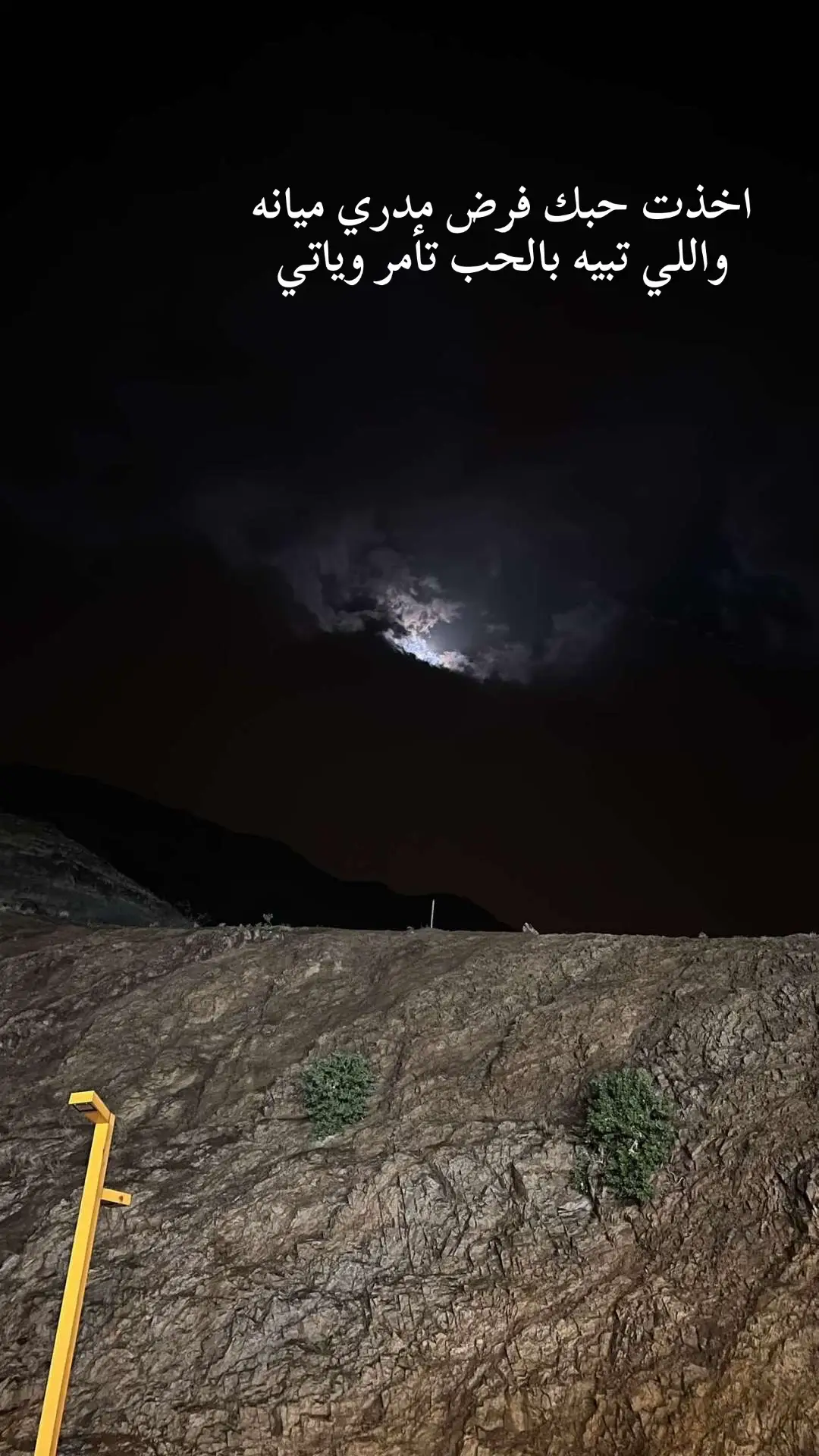 #مشاهدات #شيلات #اخذت #حبك #تصويري 🤍