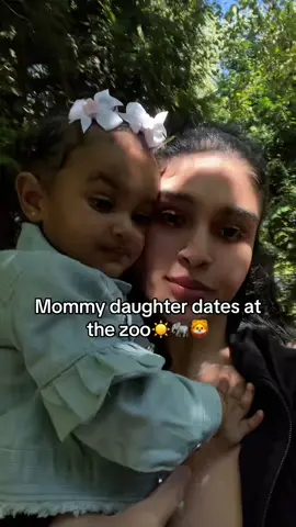 Such a nice day at the queens zoo 🤍☀️#MomsofTikTok #toddlersoftiktok #toddler #momtok #girlmom 