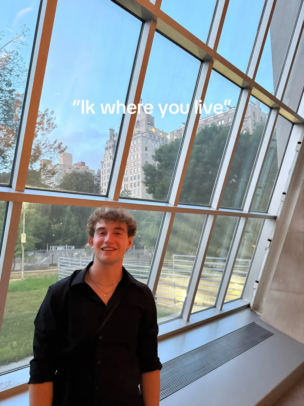 Our guard cat will GET you #fyp #cat #foryoupage 