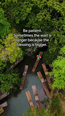 #creatorsearchinsights #fyp #dailyquotes #