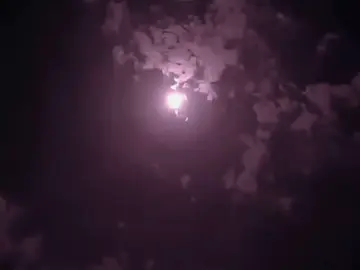 شلوني من بلادي على بلاده..#دان #سمره #تصميم_فيديوهات🎶🎤🎬 #قصايد_شعر #شبوة_مارب_الجوف_البيضاء 