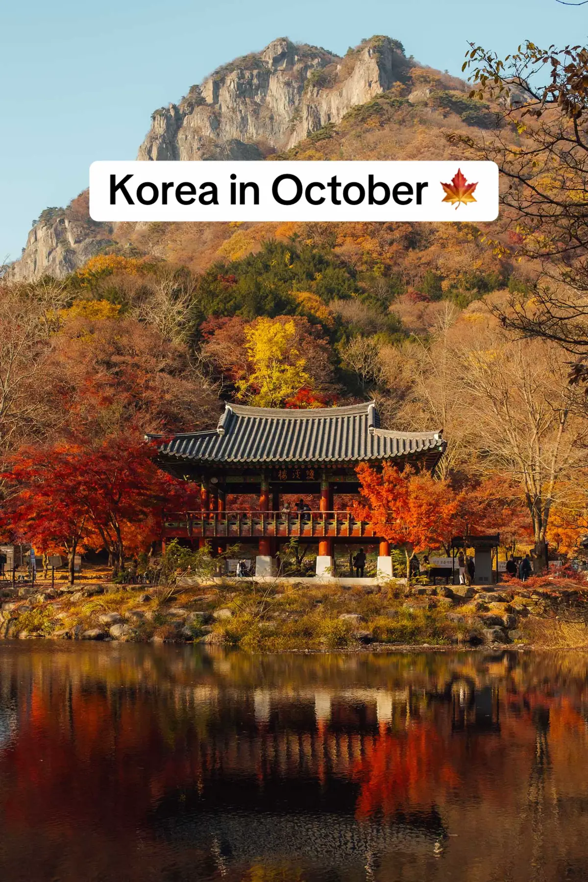 My favorite season is coming up and here’s some of my favorite photos from Korea in October #koreainoctober #autumninkorea #koreatrip #koreantiktok #fyppp 