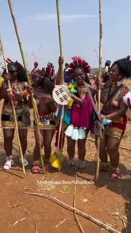 #royalfamily #umkhosiwomhlanga #fyp #zulutiktok #trend 