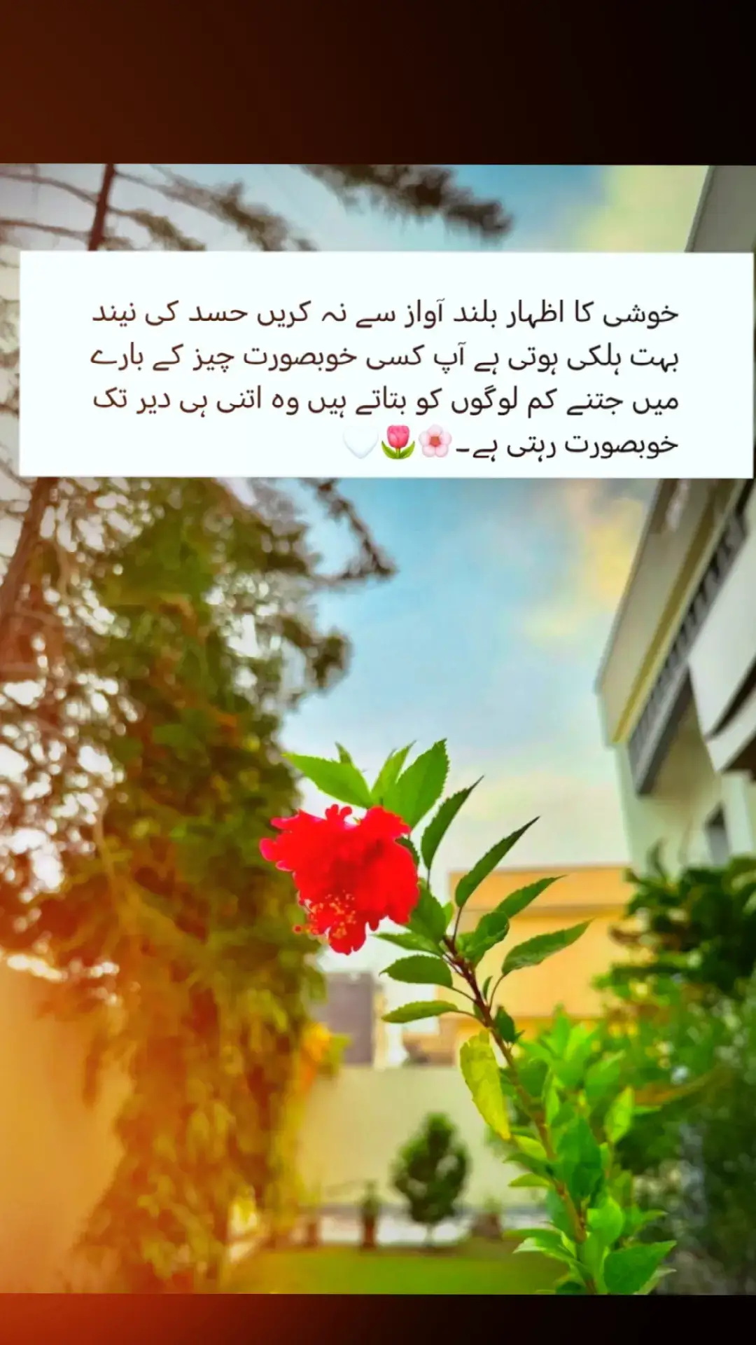 #fyp #foryoupage #fypシ゚ #foryou #10million #trendingvideo #viralmyvideo #tiktok #trend #plzviral🥺🥺🙏🙏foryoupage 