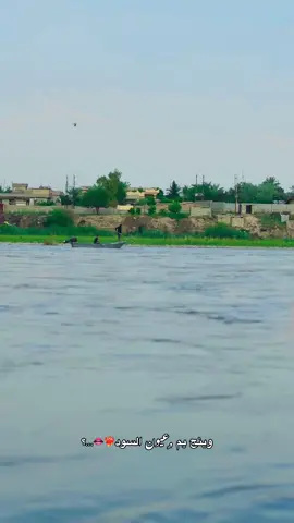 وينج يا نور عيوني❤️‍🔥👄#تصويري📸_احترافي_الاجواء👌🏻🕊😴 . . . . . . . . . . . . . . . . . . . . . . . . . . . . . . . . . . . . . . . . . . . . . . . . . . . . . . . . . . . . . . . . . . . . . . . . . . . . . . .