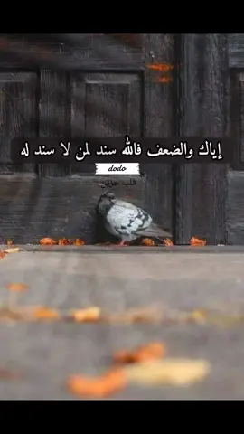 #يارب_فوضت_امري_اليك #وجع_مگتوم💔😔 #ذكريات_حزينة #قلبي_مكسور🍂💔 #ضجة_قلب 