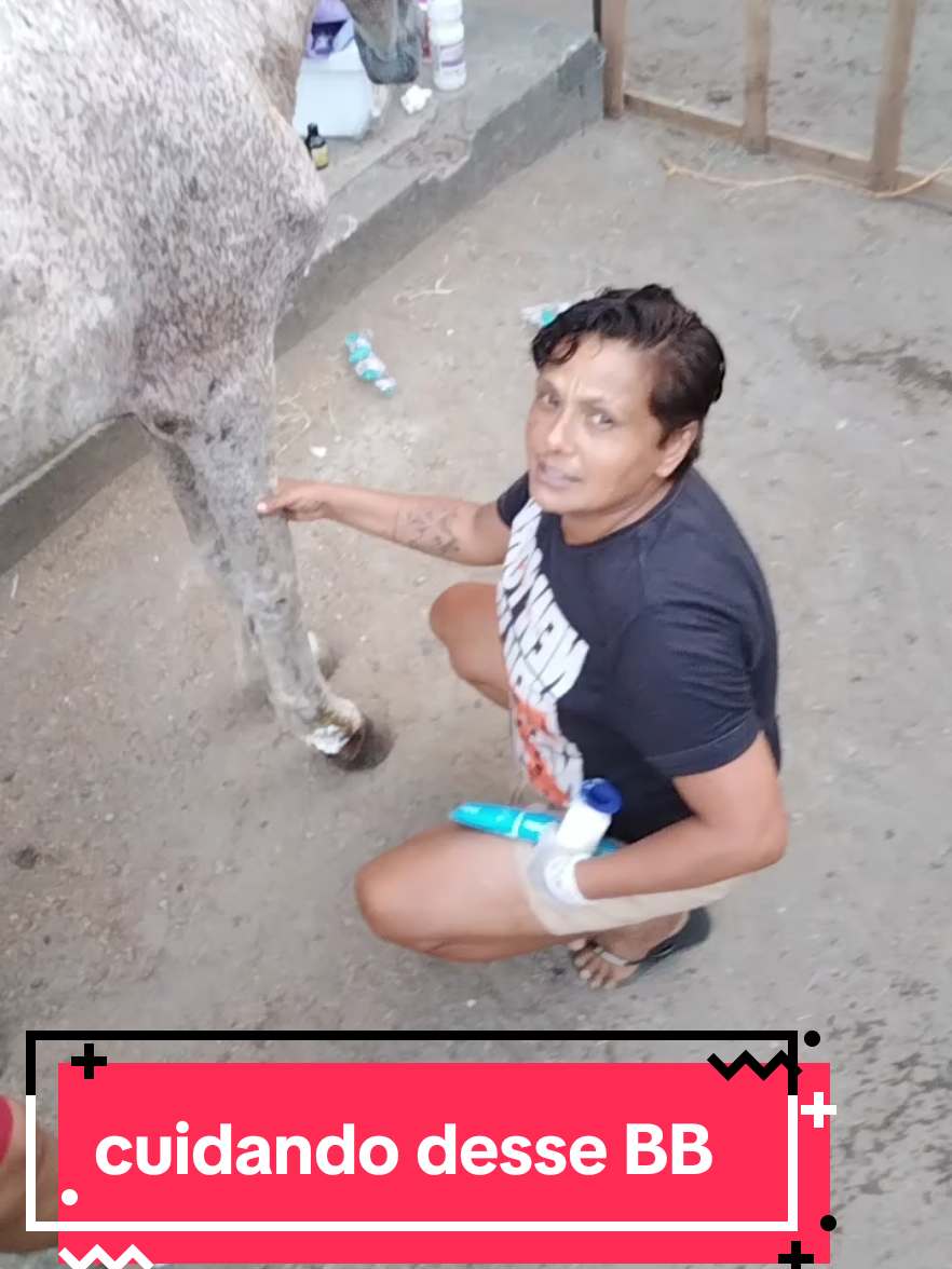 curtam,compartilhem e comentem muito!!