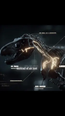 “Air sacs”the advanced breathing system of birds and dinosaurs ##Documentary##dinosaurs##birds##breathing##Science