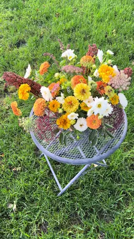 One of my favorite arrangements yet. Featuring some MC+ milo my husband grew and some elderberry branches from our grove. Everything else I started from seed. #cutflowers #flowerfarm #fallflowers 
