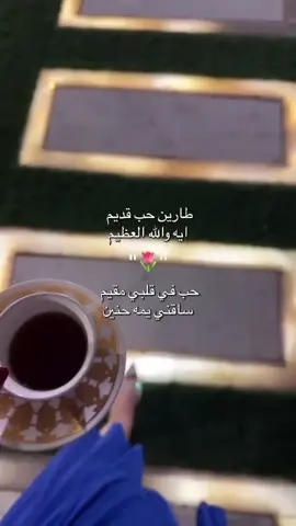 طارين حب قديم ايه والله العظيم 🌷#4u #viral #سلطان_البريكي #اكسبلورexplore 