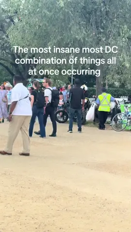 All taking place while at the national monuments too mind you #fyp #foryoupage #dc #pickleball #washingtondc  