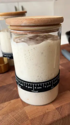 فظوا الوصفه لانها عنجد مذهله  الخميرة الطبيعية كنز من كنوز الطبيعة 🌿💛 مش بس سر خبز ألذ وأهش، كمان إلها فوائد صحية مذهلة: ✅ بتقوي المناعة ✅ بتسهل الهضم ✅ غنية بالمعادن والفيتامينات ✅ تعطي الخبز نكهة مميزة وصحية  مكونات بسيطة: طحين + ماء = حياة جديدة  طريقة تحضير الخميرة الطبيعية (Sourdough Starter) المقادير: 	•	40 غرام طحين (يعادل تقريباً ثلث كوب) 	•	40 مل ماء معدني أو مفلتر (يعادل تقريباً ثلث كوب) ⸻ الخطوات (لمدة 7–10 أيام): اليوم الأول: 	•	في وعاء نظيف، اخلطي 40 غرام طحين مع 40 مل ماء. 	•	قلّبي جيداً حتى يتجانس الخليط. 	•	غطّي الوعاء بقطعة شاش أو غطاء يسمح بدخول الهواء. اليوم الثاني: 	•	أضيفي 40 غرام طحين و40 مل ماء إلى الخليط. 	•	اخلطي جيداً وغطيه مرة أخرى. اليوم الثالث: 	•	تخلّصي من نصف كمية الخميرة. 	•	أضيفي إلى النصف المتبقي 40 غرام طحين و40 مل ماء. اليوم الرابع: 	•	أضيفي 40 غرام طحين و40 مل ماء مباشرة. اليوم الخامس: 	•	تخلّصي من نصف كمية الخميرة. 	•	أضيفي إلى الباقي 40 غرام طحين و40 مل ماء. اليوم السادس: 	•	تكرار الخطوة نفسها: تخلّصي من نصف الكمية ثم أضيفي 40 غرام طحين و40 مل ماء. اليوم السابع: 	•	كرّري نفس العملية (تخلصي من نصف الكمية + تغذية ب40 غرام طحين و40 مل ماء). ملاحظة: قد تحتاج الخميرة إلى 10 أيام حتى تنضج تماماً، حسب حرارة الجو وجودة الطحين والماء. ⸻ 🌿 Sourdough Starter Recipe Ingredients: 	•	40 g flour (about 1/3 cup) 	•	40 ml mineral or filtered water (about 1/3 cup) ⸻ Instructions (7–10 days process): Day 1: 	•	In a clean jar, mix 40 g flour with 40 ml water. 	•	Stir well until combined. 	•	Cover loosely with a cloth or a lid that allows airflow. Day 2: 	•	Add 40 g flour and 40 ml water to the mixture. 	•	Stir and cover again. Day 3: 	•	Discard half of the starter. 	•	To the remaining half, add 40 g flour and 40 ml water. Day 4: 	•	Add 40 g flour and 40 ml water directly. Day 5: 	•	Discard half of the starter. 	•	Feed the remaining half with 40 g flour and 40 ml water. Day 6: 	•	Repeat: discard half, then add 40 g flour and 40 ml water. Day 7: 	•	Repeat the same feeding process (discard half + add 40 g flour and 40 ml water). Note: The starter may take up to 10 days to become fully active, depending on room temperature and the quality of the flour and water.⁩ #kuwait #شيف_منى #وصفات_سهله #خميره_طبيعية 