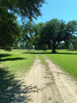 Oh Conway knows how to sing it! #goodmusic #foryoupage #tiktok #conwaytwitty #texaswomen 