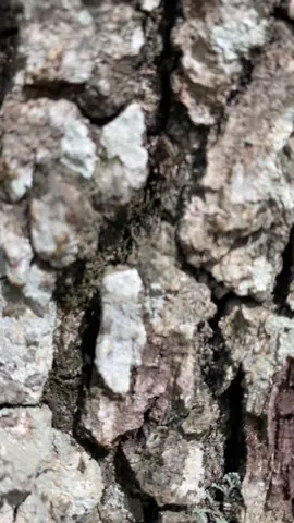 ماشاء الله ❤️ #fyp #viral #LIVEIncentiveProgram #LIVEStory #PaidPartnership 