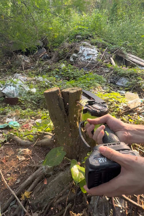 A handheld, wireless, electric chain saw with a large battery capacity ensures safety and makes it easy to complete pruning tasks on fruit trees #electric #podadores #fyp #minichainsaw #handheldchainsaw 