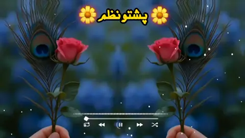 part 97 پشتو نظم 🥀🥰#trending #foryou #foryoupage #unfreezemyaccount #pashtonazam2024 