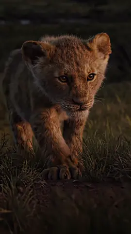 ﷽  👉🏻 @f.fram26 👈🏻  ━━━━━༻❁༺━━━━━  𐌿᧐ᥴ᧘ᥲннᥙκ А᧘᧘ᥲɦᥲ ﷺ ᥴκᥲᤋᥲ᧘:  «Уκᥲᤋᥲʙɯᥱⲙу нᥲ δ᧘ᥲᴦ᧐ᥱ (ᥰ᧐᧘ᥲᴦᥲᥱᴛᥴя) ᴛᥲκᥲя жᥱ нᥲᴦρᥲдᥲ κᥲκ ᥙ ᥴ᧐ʙᥱρɯᥙʙɯᥱⲙу ᥱᴦ᧐»  ᚔ 𐌿᧐дᥱ᧘ᥙᴛᥱᥴь ϶ᴛᥙⲙ ʙᥙдᥱ᧐ ᥙ ᥰ᧐᧘учᥙᴛᥱ нᥲᴦρᥲду ᧐ᴛ А᧘᧘ᥲɦᥲ.  ━━━━━༻❁༺━━━━━  #ислам #коран #сунна #дагестан #чечня                        