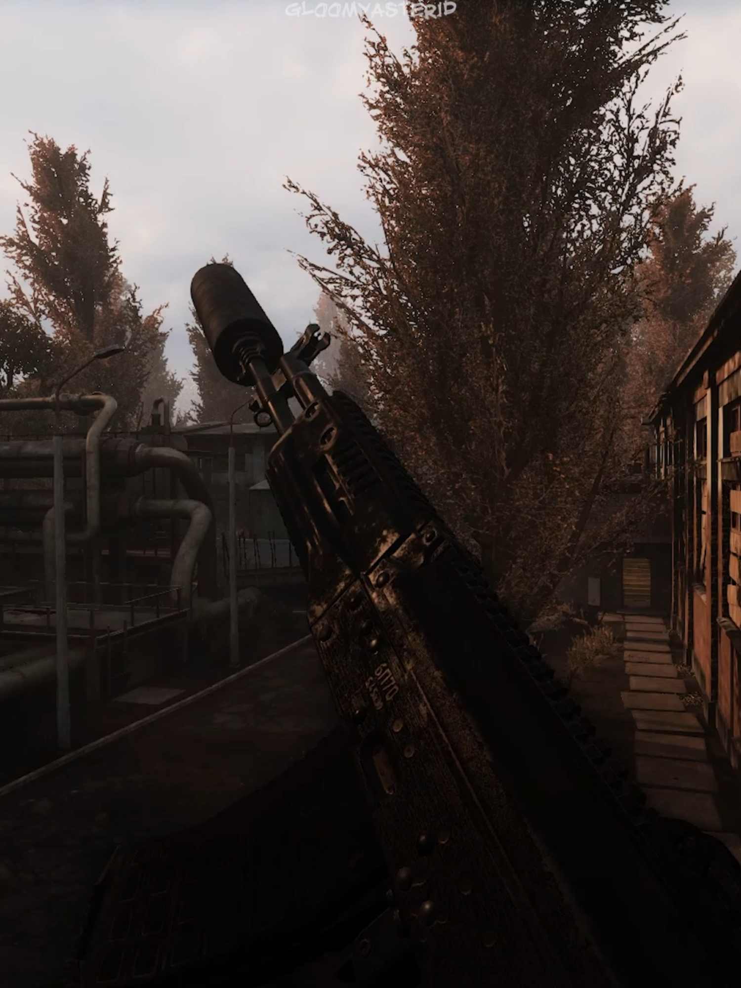 Перемен, требуют наши сердца. STALKER Anomaly Custom #stalker #postpunk #сталкер #постпанк #рок #цой #одиночка #lonely#anomaly