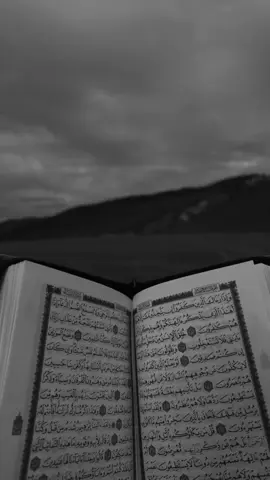 #قران #قران_كريم #دعاء #تلاوة_خاشعة #quran 