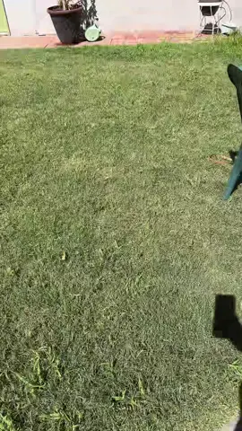 Cuidando a la beba mientras mamá gana premios 🥰
