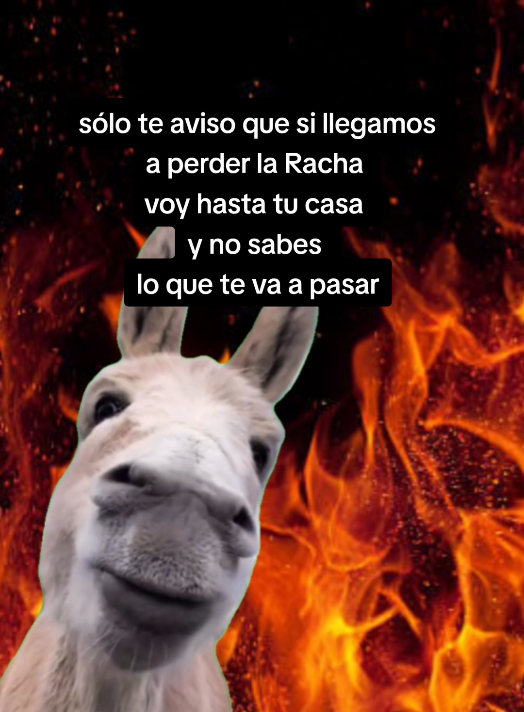 Luego No te vayas a quejar 😂 #Meme #activalaracha🔥 #racha🔥 #CapCut 