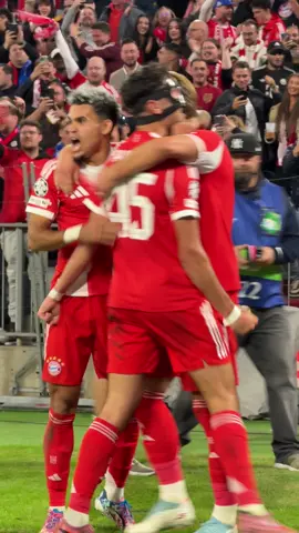 La celebración del gol de #HarryKane 😮‍💨 #Bayern #Chelsea #championsleague 