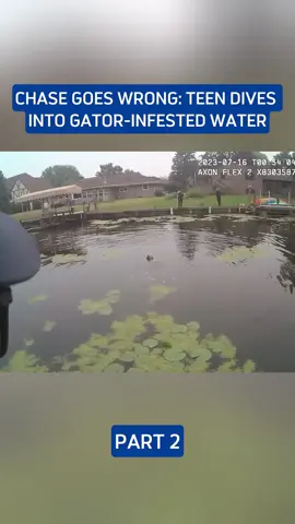 Chase goes wrong: teen dives into gator-infested water
#cops #bodycam #police #foryou 
