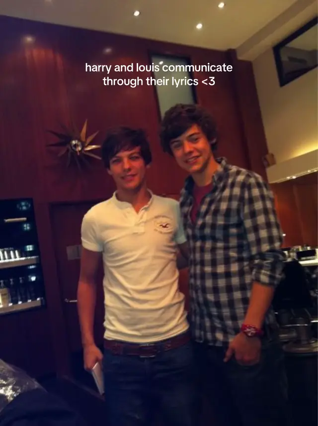 #larrystylinson #harryandlouis #louistomlinson #harrystyles #fyp 