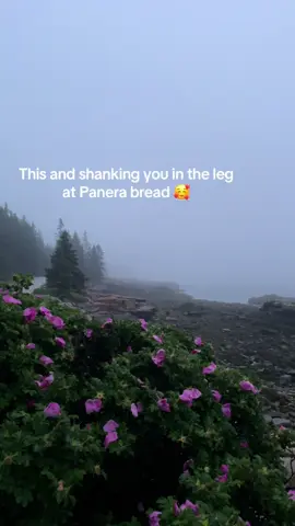 Call me big badinky bones 