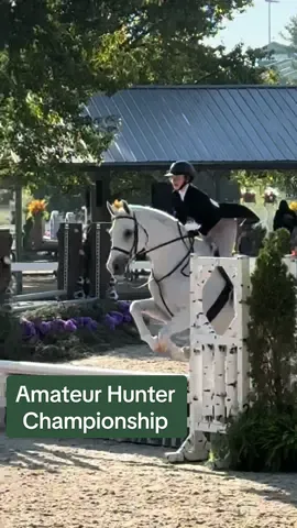 Finished my first final🥳 Vincent was absolutely perfect for Amateur Championships and we finished our first round just out of the ribbons in 11th🩵 #hunterjumper #adultammy #equestrian #horseshow #kentuckyhorsepark 
