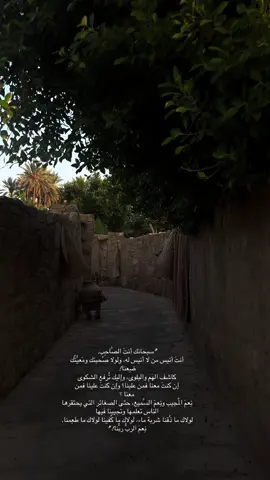 سبحانك انت الصاحب #explore #fypシ゚ #يارب 