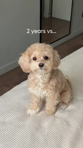 🥹💔