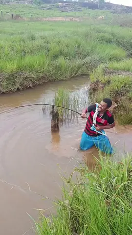 #kkkk#kkkkk#das grande#escapou#quebrou