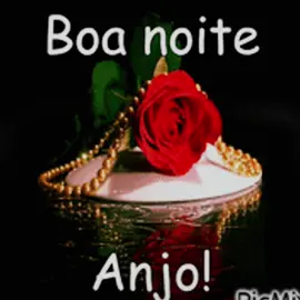 Boa noite meu povo  #noiteabençoada #boanoite #boanoitefunk #boanoitecomfunk #sabado 