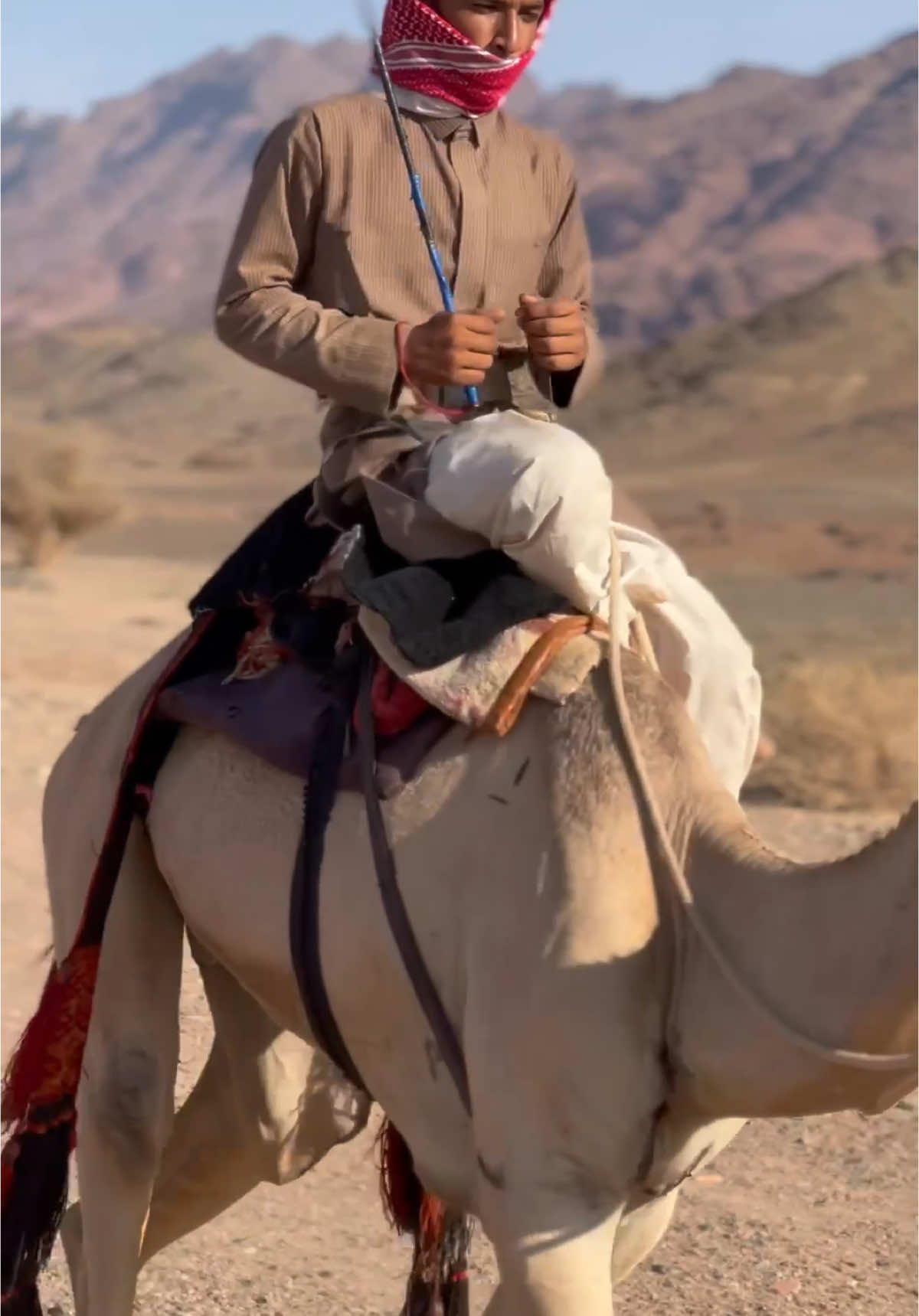 #هجن_الحويطات_هجن_حقيل_هجن_الخريطه #مشاءالله_تبارك_الله #الشعب_الصيني_ماله_حل😂😂 