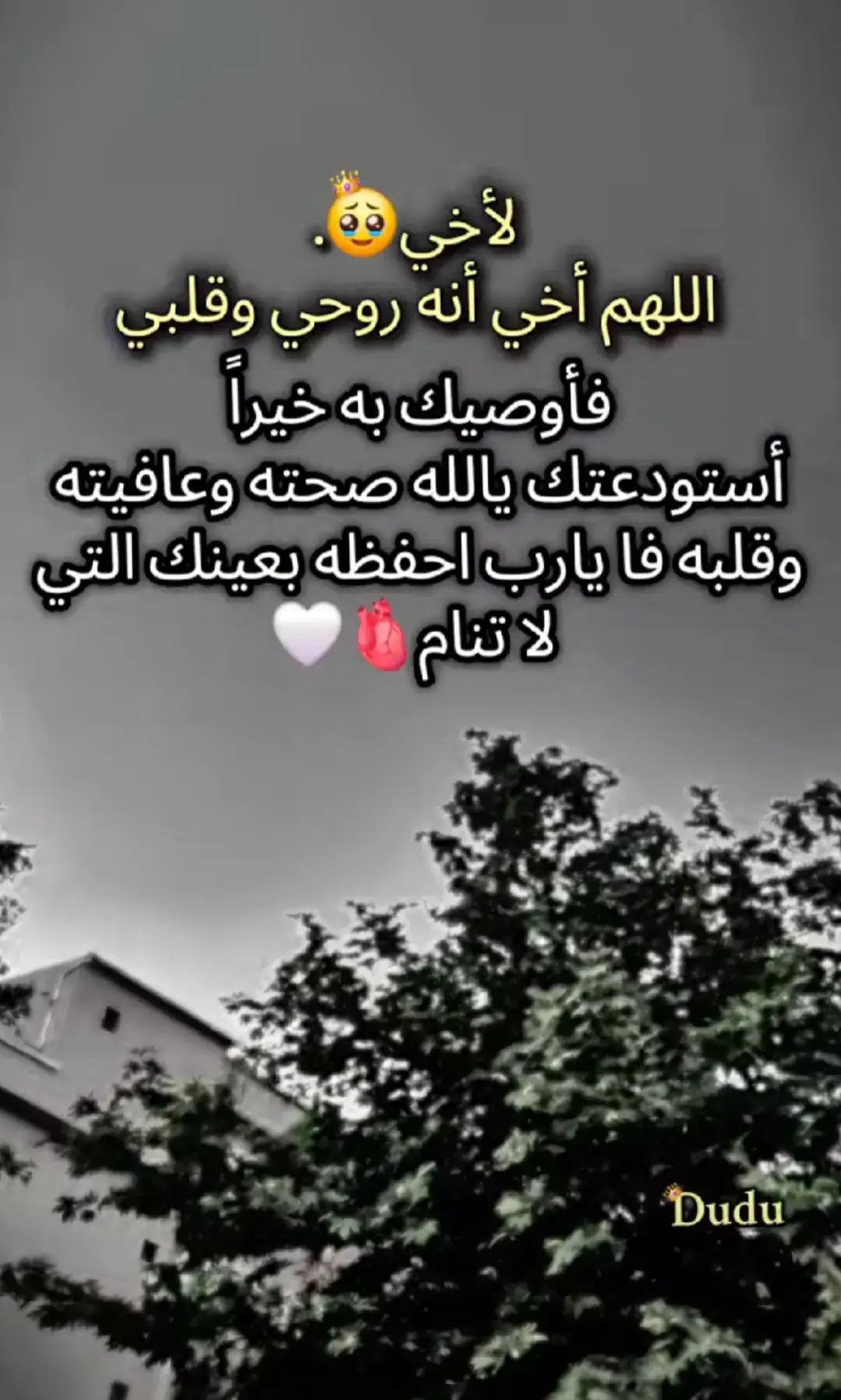 #حزينہ♬🥺💔 #حزينہ♬🥺💔 #حزينہ♬🥺💔 #فرنسا🇨🇵_بلجيكا🇧🇪_المانيا🇩🇪_اسبانيا🇪🇸 