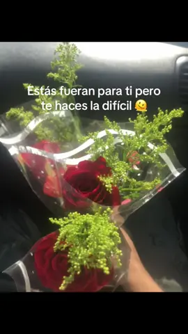 #amoryamistad #indirectas #humor 