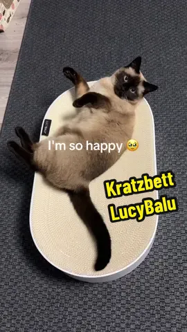 Es gefällt ihr offensichtlich sehr 🥹😻🐾 Es ist ein großes Kratzbrett und Bettchen in einem. Super schön und sehr hochwertig ❤️  #Kratzbett #LucyBalu #musthave #TikTokShopDeutschland #dealsfürdich  