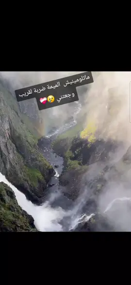 #تيك_توك #اكسبلور #شاوية_بنت_الاوراس_العالي_ناس_باتنة #تصميم_فيديوهات🎶🎤🎬 #مشاهير_تيك_توك_مشاهير_العرب 