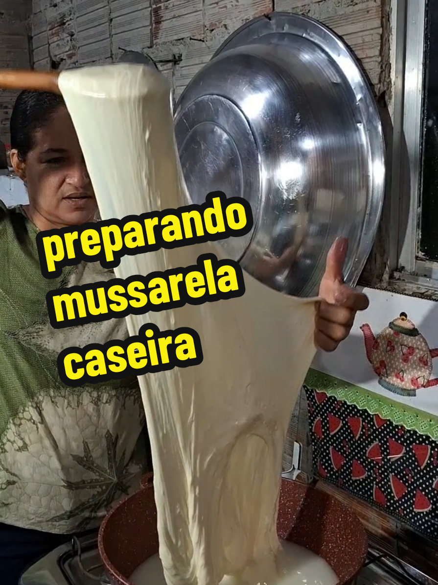 como preparar mussarela caseira  #minharotinanaroça #donadecasa #lavandolouça  #mussarelacaseira 