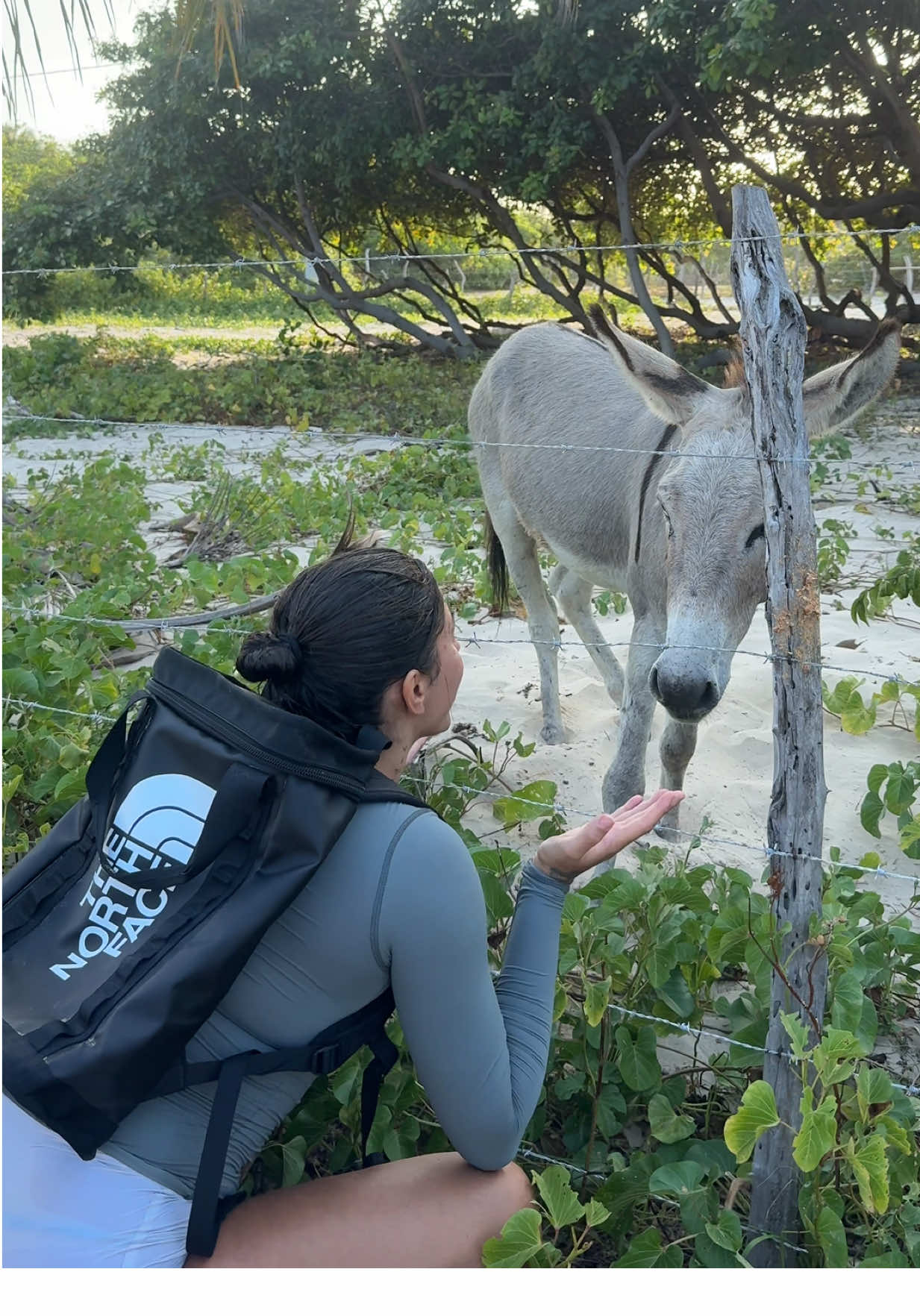 me and donkey