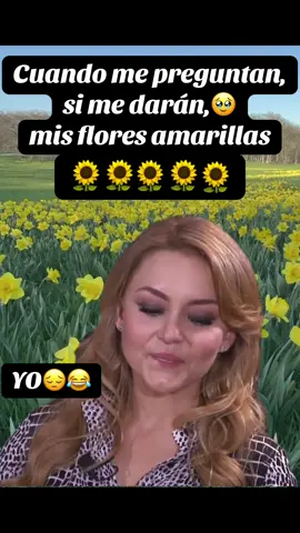#CapCut #floresamarillas #flores #21deseptiembrefloresamarillas #humor #humortiktok #fypage #fyppppppppppppppppppppppp #viraltiktok #meme #memecut 