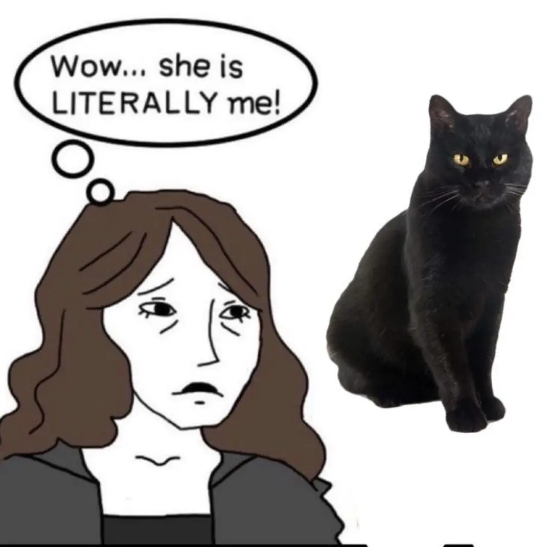 My baby girl 🐈‍⬛