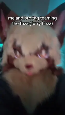 this post is so dumb bro #fyp #furry #fypシ #fypシ゚viral #furrytiktok 