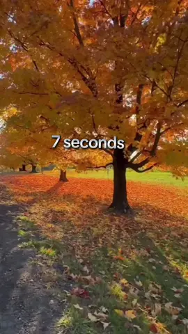 7 Seconds Trending Sound #trendingsound #trendingsong #7secstrending  #altego 